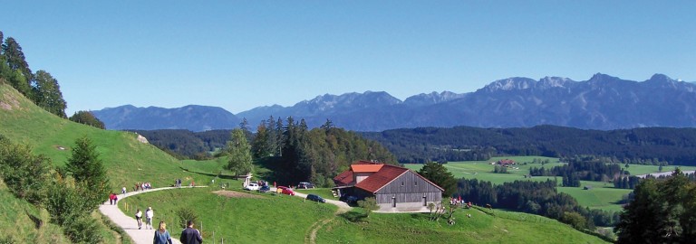 Beichelsteinalpe Ostallgäu